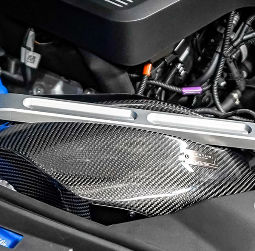 Carbon Intake (G29 Z4 20i/30i B48)